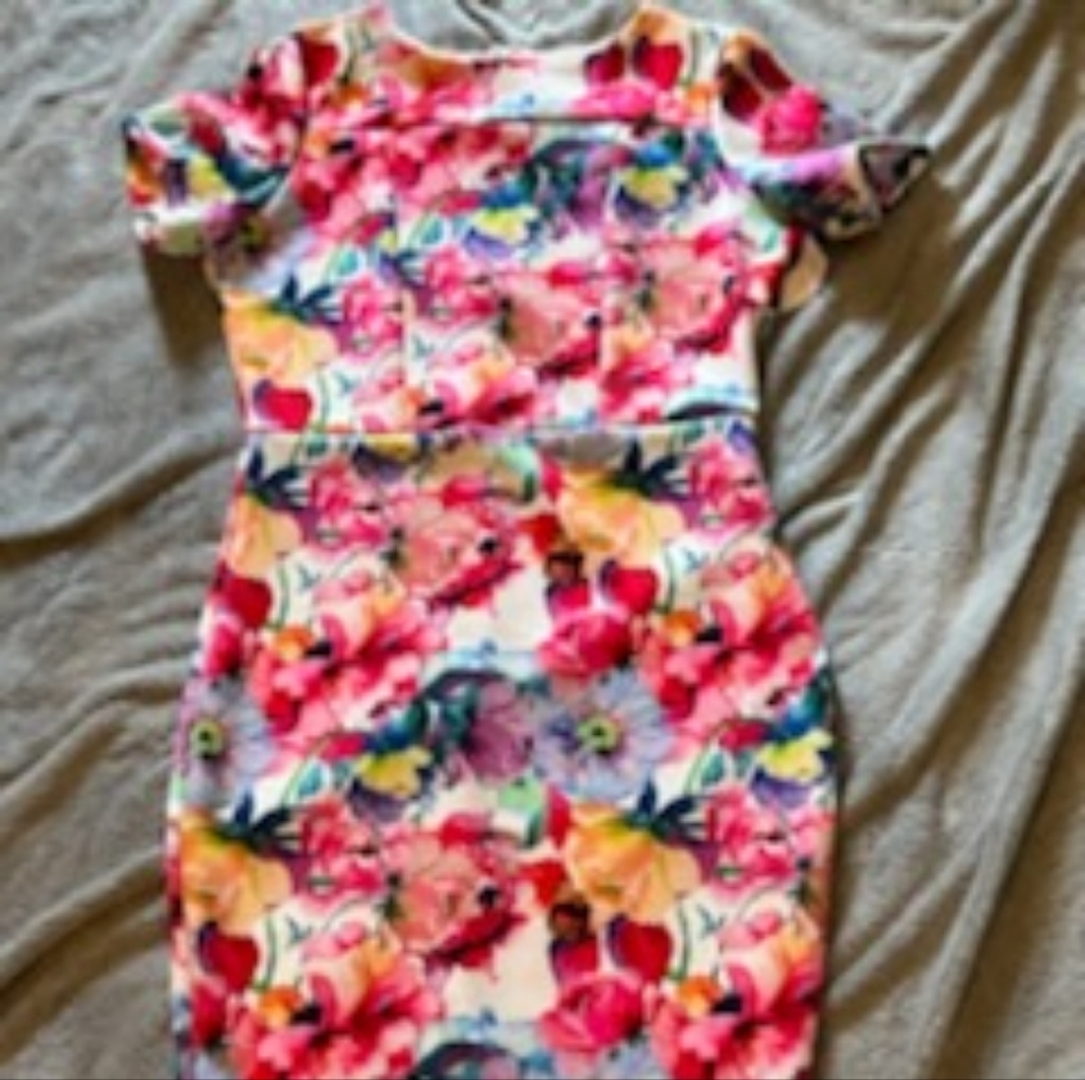 Multi Colored Sheath New York & Company Dress
